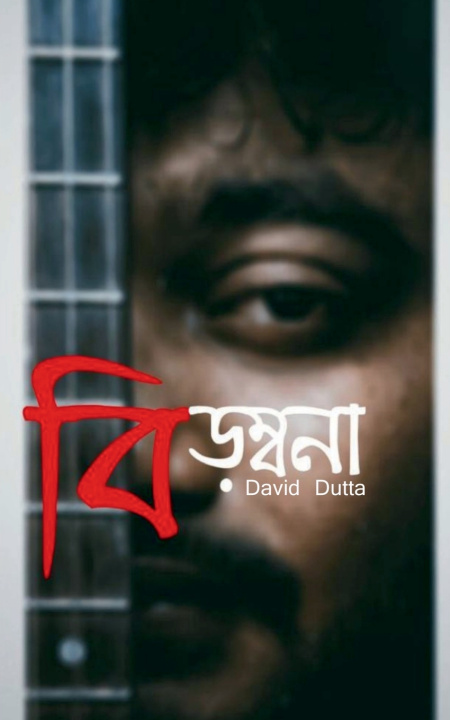Book IRONY David Dutta