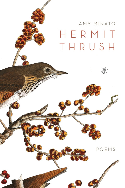 Книга Hermit Thrush Amy Minato