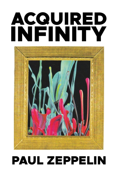 Book Acquired Infinity Paul Zeppelin
