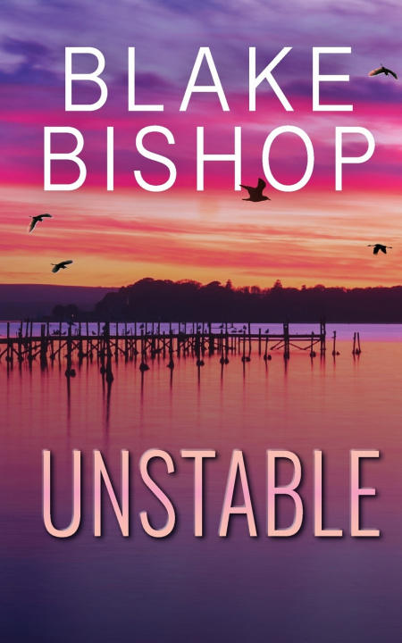 Book Unstable Blake Bishop