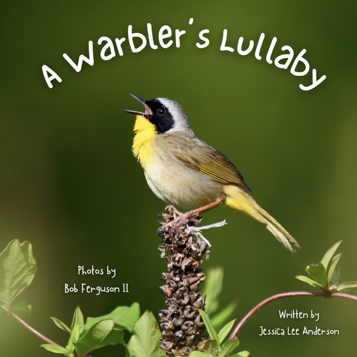 Carte A Warbler's Lullaby Jessica Lee Anderson