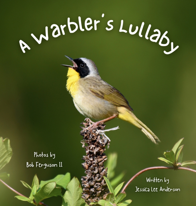 Buch A Warbler's Lullaby Jessica Lee Anderson