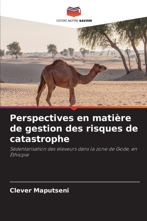 Buch Perspectives en matière de gestion des risques de catastrophe Clever Maputseni