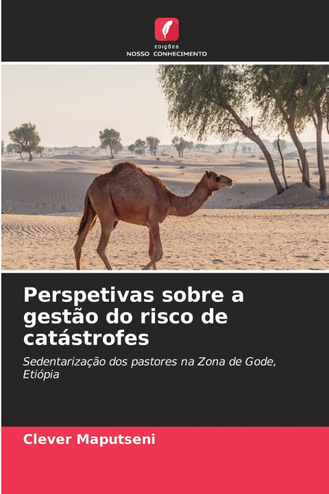 Книга Perspetivas sobre a gestão do risco de catástrofes Clever Maputseni