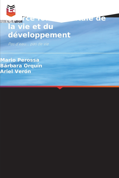 Book La question de l'eau Mario Perossa