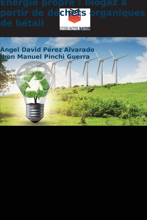 Buch Énergie propre Ángel David Pérez Alvarado