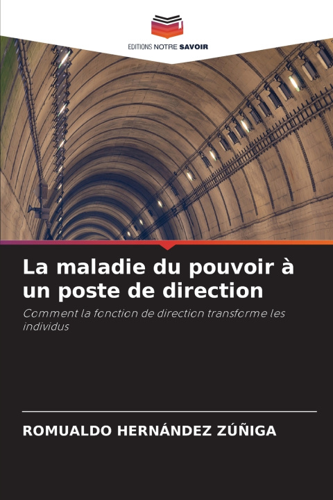 Βιβλίο La maladie du pouvoir à un poste de direction ROMUALDO HERNÁNDEZ ZÚÑIGA