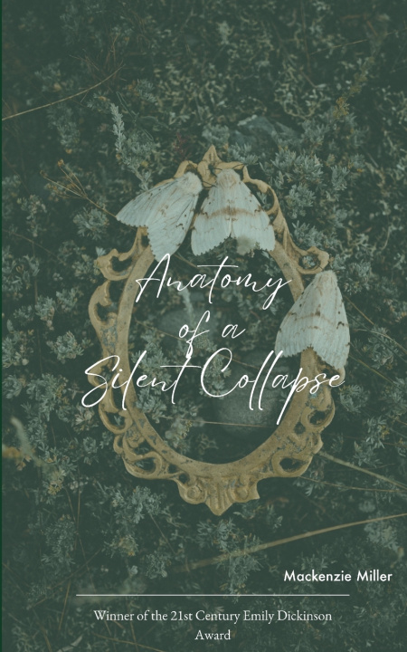 Knjiga Anatomy of a Silent Collapse Mackenzie Miller