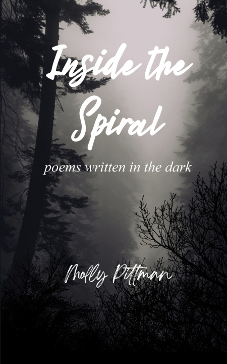Buch Inside the Spiral poems written in the dark Molly Pittman