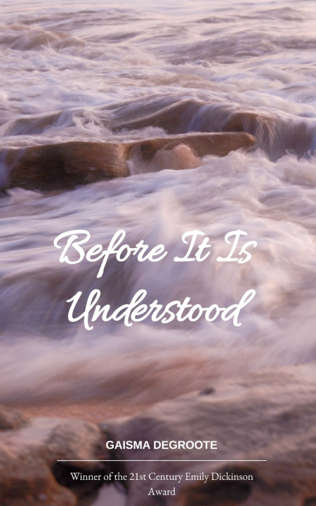 Livro Before It Is Understood Gaisma DeGroote