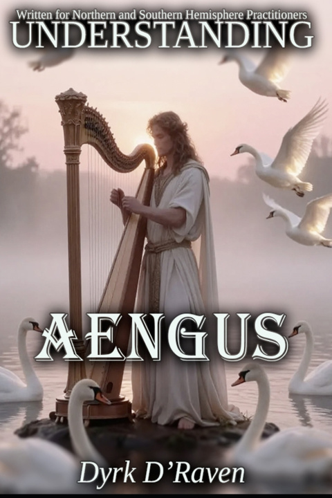Book Understanding Aengus Dyrk D'Raven