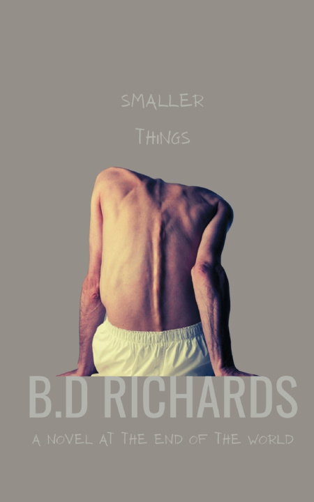 Livro Smaller Things B.D Richards