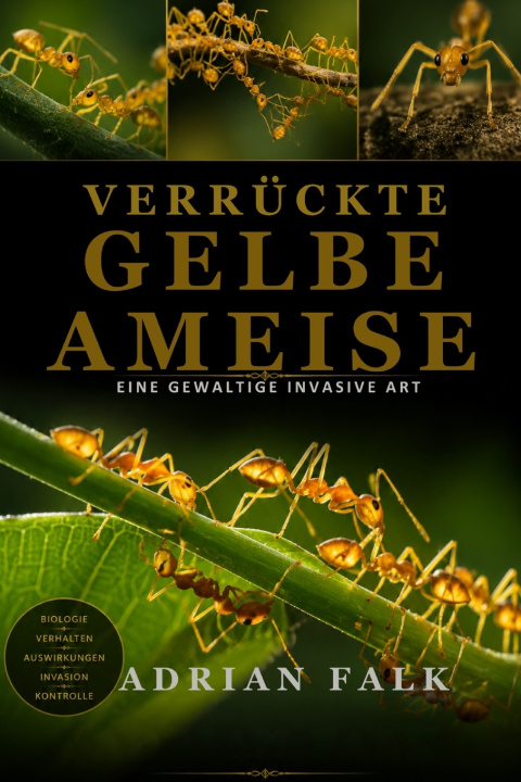 Carte Verrückte gelbe Ameise Adrian Falk