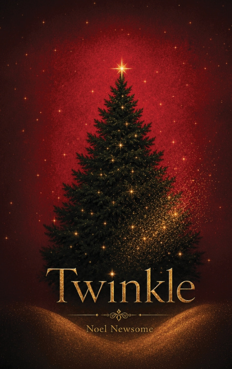 Book Twinkle Noel Newsome