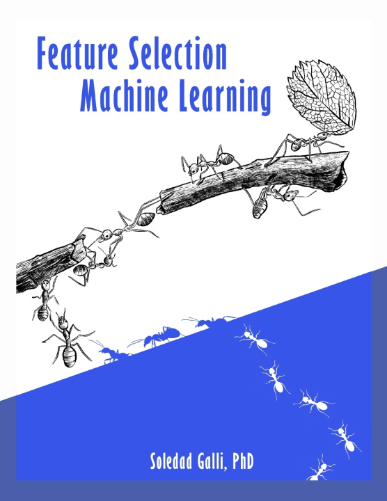 Kniha Feature Selection in Machine Learning Soledad Galli