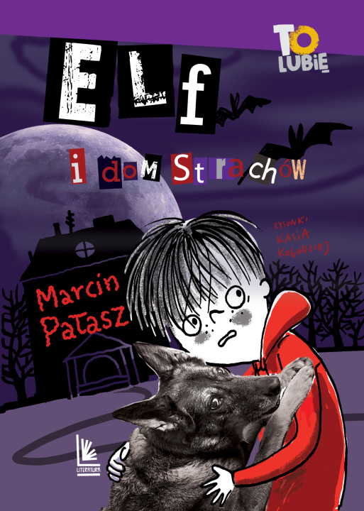 Book Elf i dom strachów Marcin Pałasz