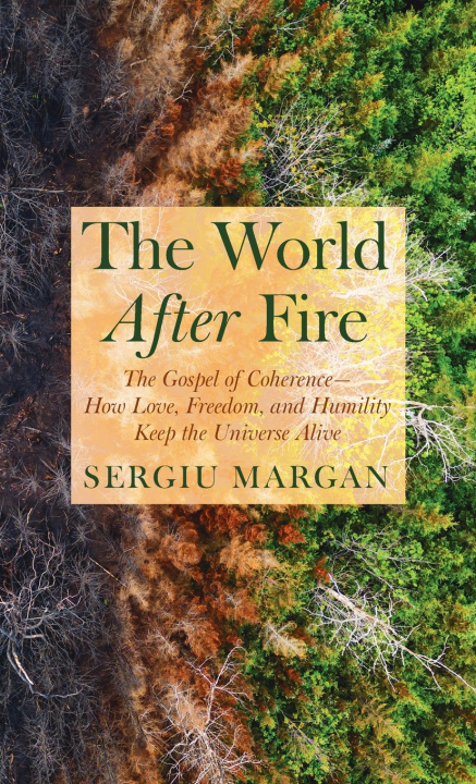 Kniha The World After Fire Sergiu Margan