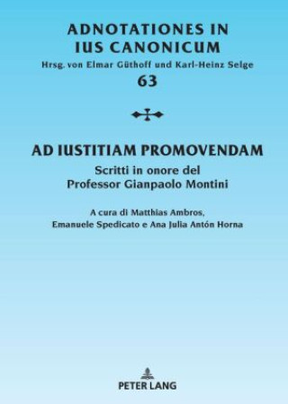 Kniha Ad iustitiam promovendam Matthias Ambros