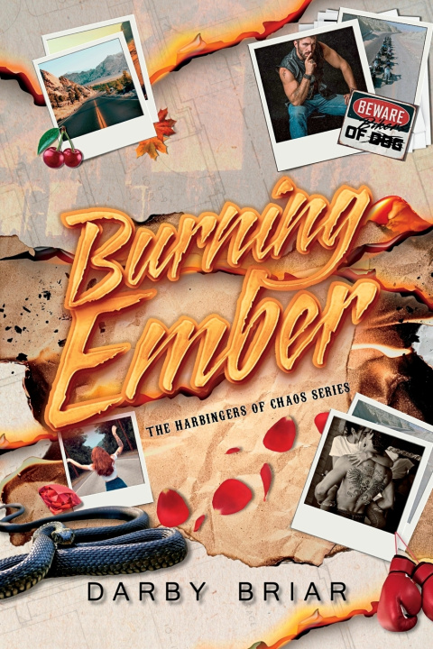 Book Burning Ember Darby Briar
