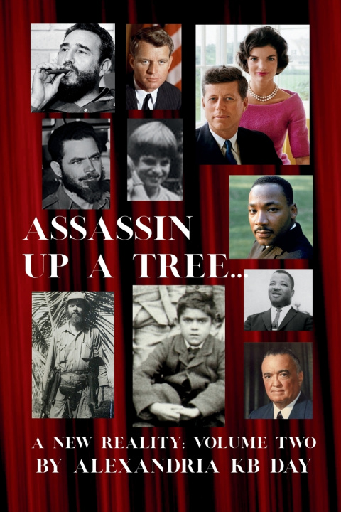 Boek ASSASSIN UP A TREE Alexandria K. B Day