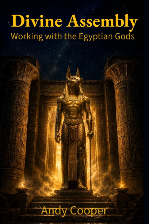 Boek Divine Assembly Andy Cooper