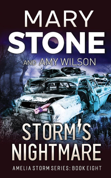 Book Storm's Nightmare Mary Stone