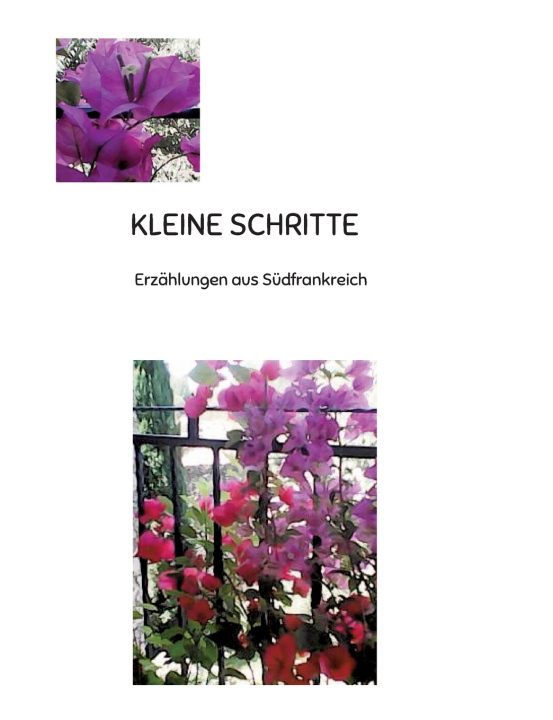 Knjiga KLEINE SCHRITTE Verena Aeschbacher