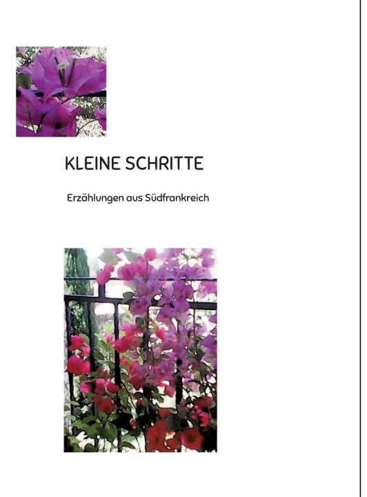Kniha KLEINE SCHRITTE Verena Aeschbacher