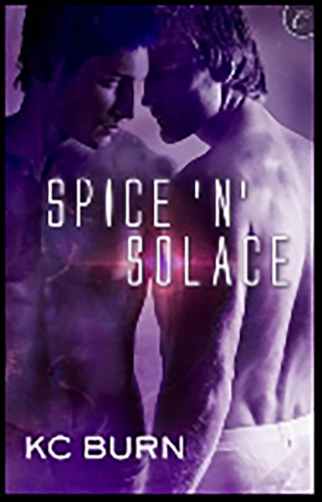 Livre numérique Spice 'n' Solace KC Burn