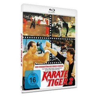 Video Karate Tiger 2 - Raging Thunder Kevin Sewelson