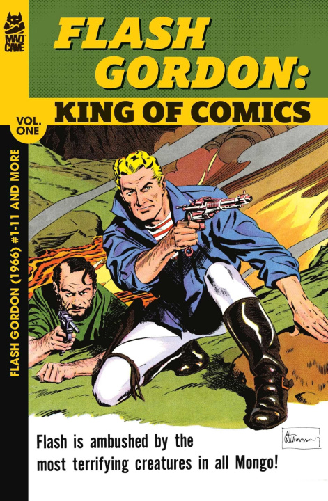 Kniha Flash Gordon: King of Comics Vol. 1 Dan Barry