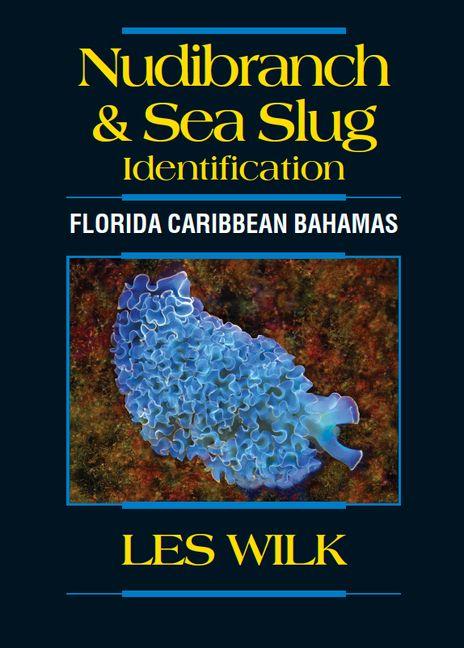 Buch Nudibranch & Sea Slug Identification - Florida Caribbean Bahamas 