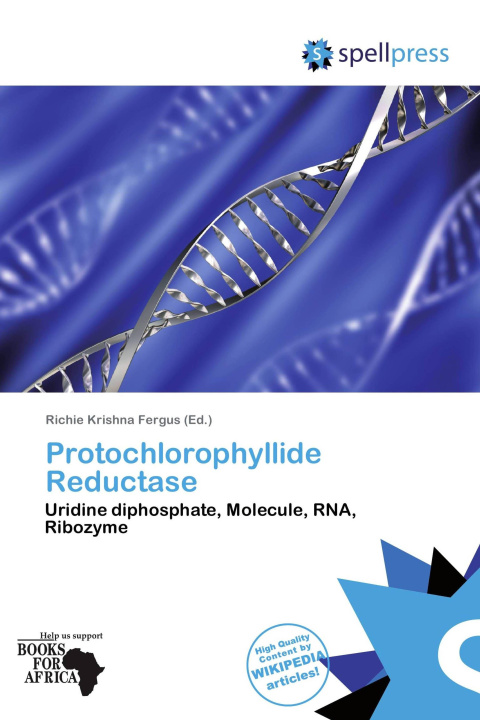 Könyv Protochlorophyllide Reductase 