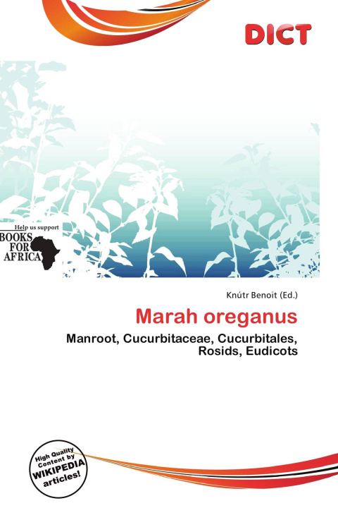 Buch Marah oreganus 