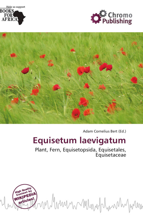 Buch Equisetum laevigatum 