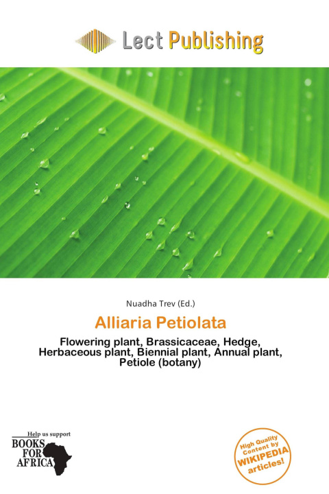 Buch Alliaria Petiolata 