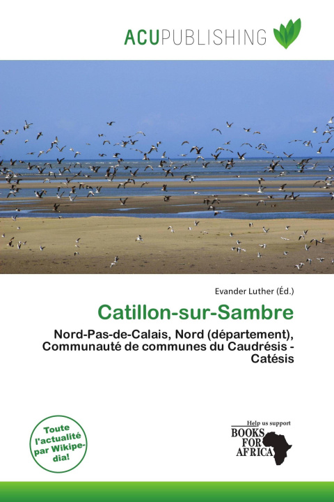 Carte Catillon-sur-Sambre 