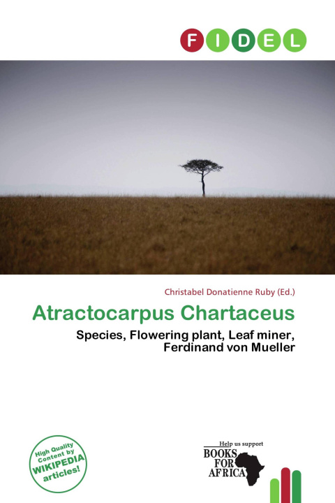 Buch Atractocarpus Chartaceus 