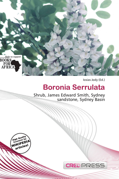 Buch Boronia Serrulata 
