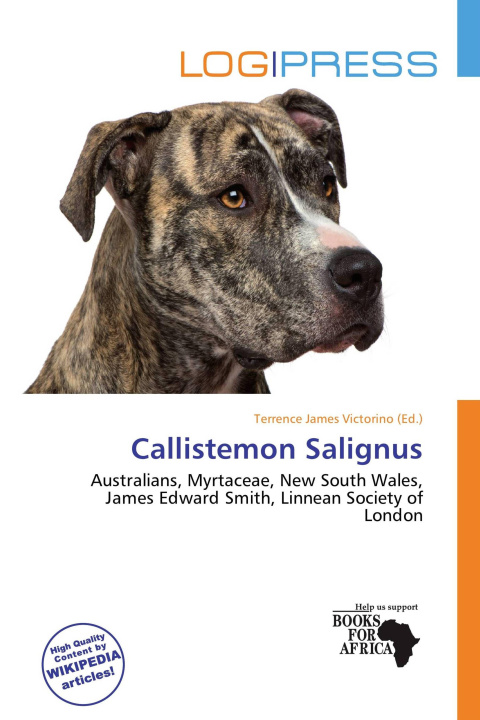 Buch Callistemon Salignus 