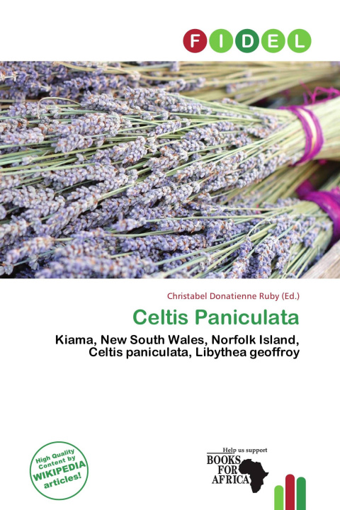 Buch Celtis Paniculata 