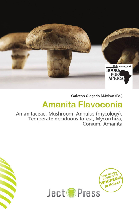 Buch Amanita Flavoconia 