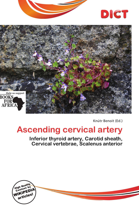 Könyv Ascending cervical artery 