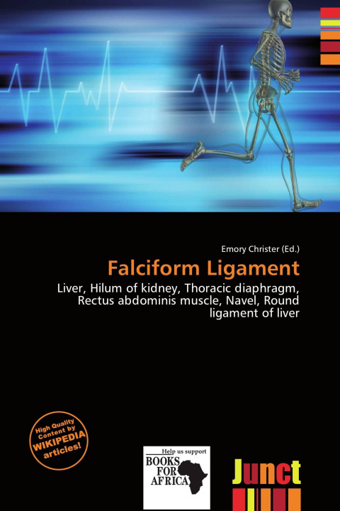 Carte Falciform Ligament 