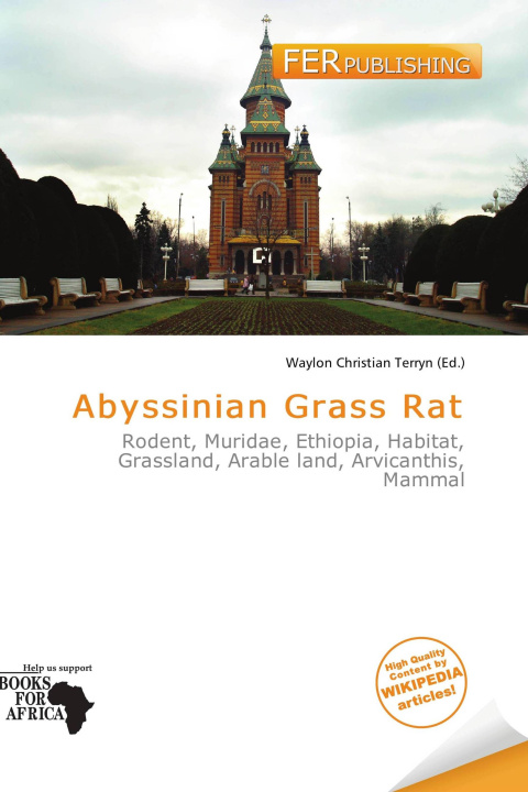 Carte Abyssinian Grass Rat 