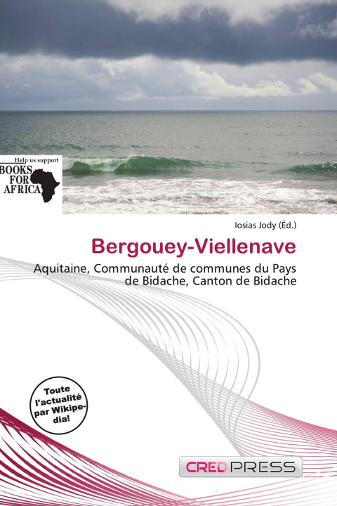 Könyv Bergouey-Viellenave 