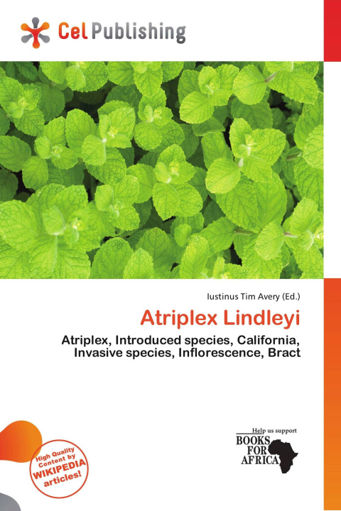 Buch Atriplex Lindleyi 