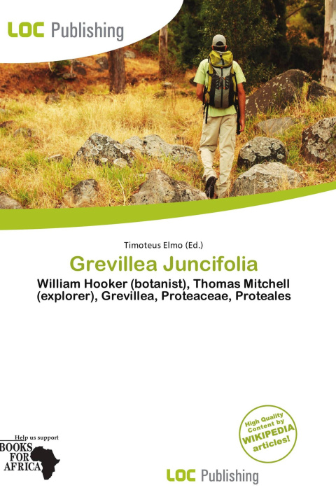 Carte Grevillea Juncifolia 