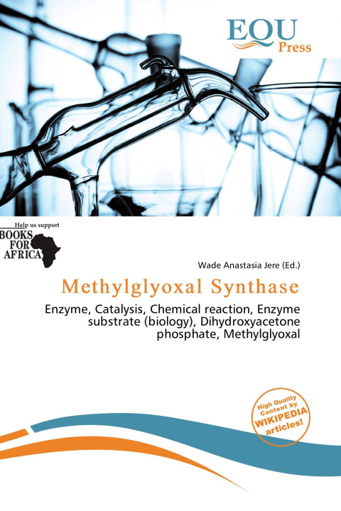 Könyv Methylglyoxal Synthase 