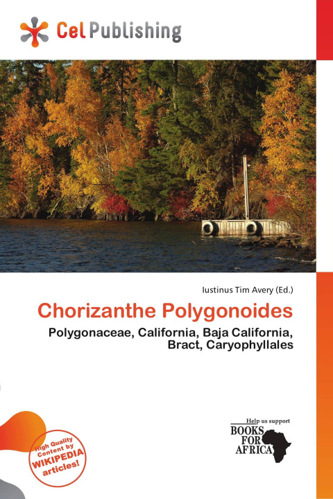 Buch Chorizanthe Polygonoides 